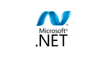 Microsoft ASP.NET development in Riyadh