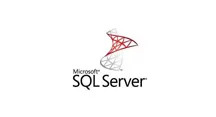 Microsoft SQL Server development in Riyadh
