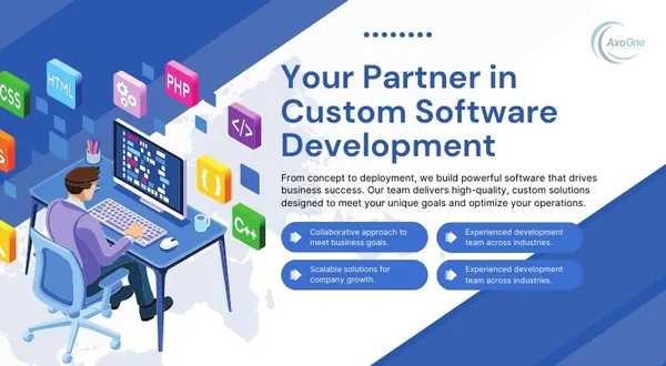 Custom software development